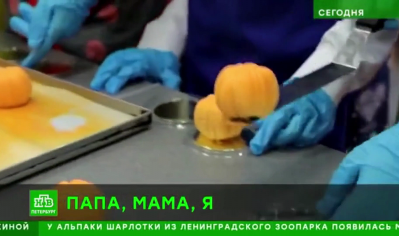 Телеканал «НТВ» выпустил сюжет о «Родительской субботе» в ИТШ № 777